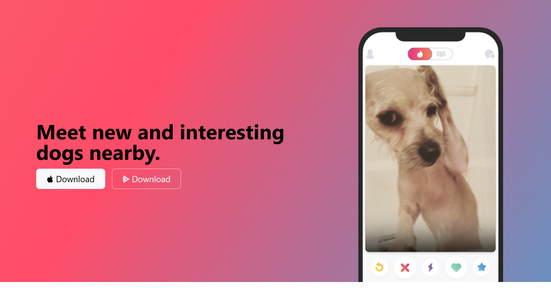 Bootcamp Demos — TinDog landing page